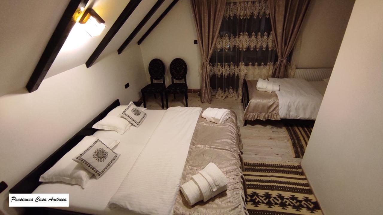 Bîrsana Pensiunea Casa Andreea - Barsana Maramures מראה חיצוני תמונה