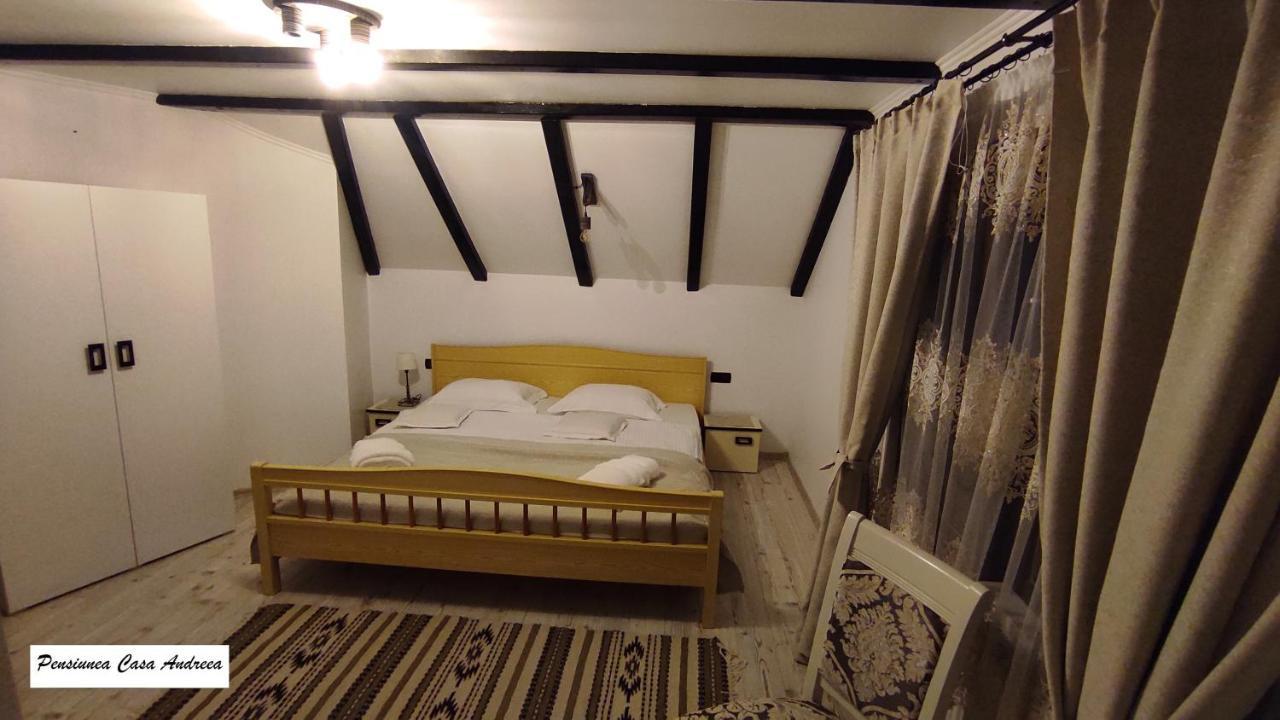 Bîrsana Pensiunea Casa Andreea - Barsana Maramures מראה חיצוני תמונה