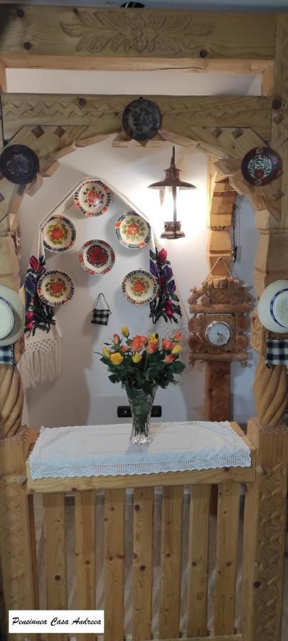 Bîrsana Pensiunea Casa Andreea - Barsana Maramures מראה חיצוני תמונה