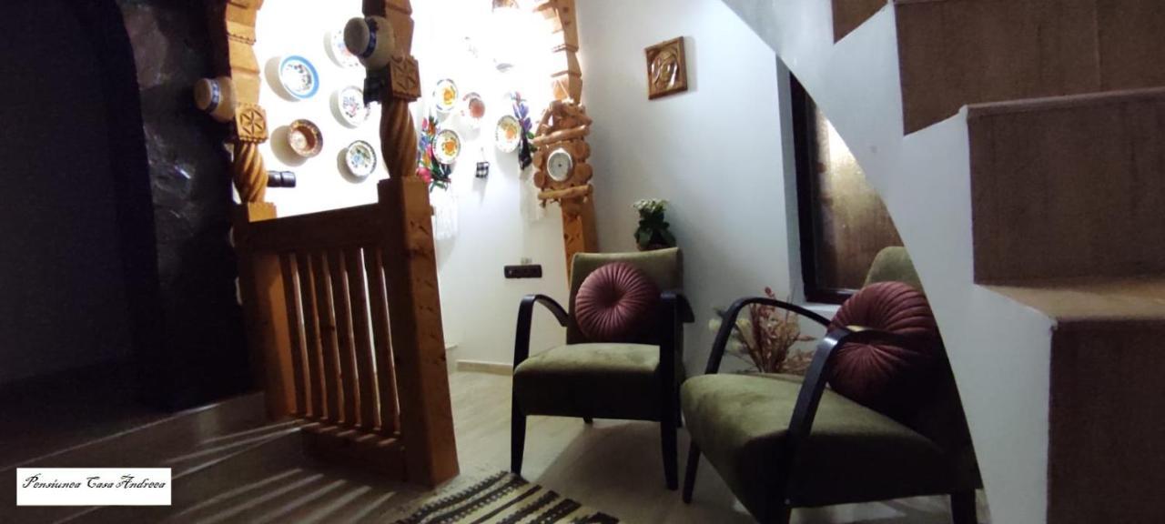Bîrsana Pensiunea Casa Andreea - Barsana Maramures מראה חיצוני תמונה